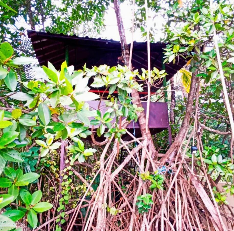 Lakefront Beach Homes Cherai Beach Extérieur photo